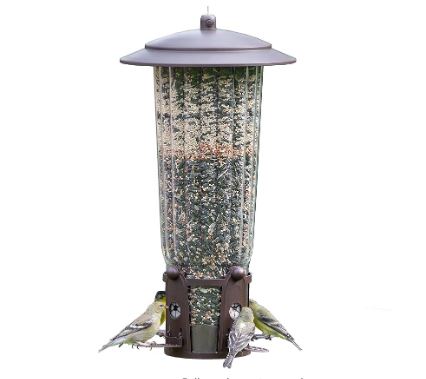 Bird Feeders