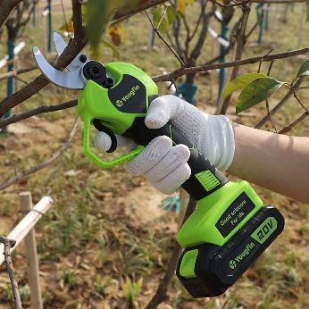 Electric Pruning