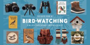 Top 10 Gifts for Someone Who Likes Birdwatching