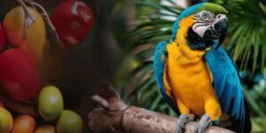 Curated visual reference: Visual Reference: The Ultimate Guide To Blue And Gold Macaws