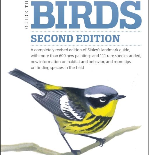 Bird Identification Apps